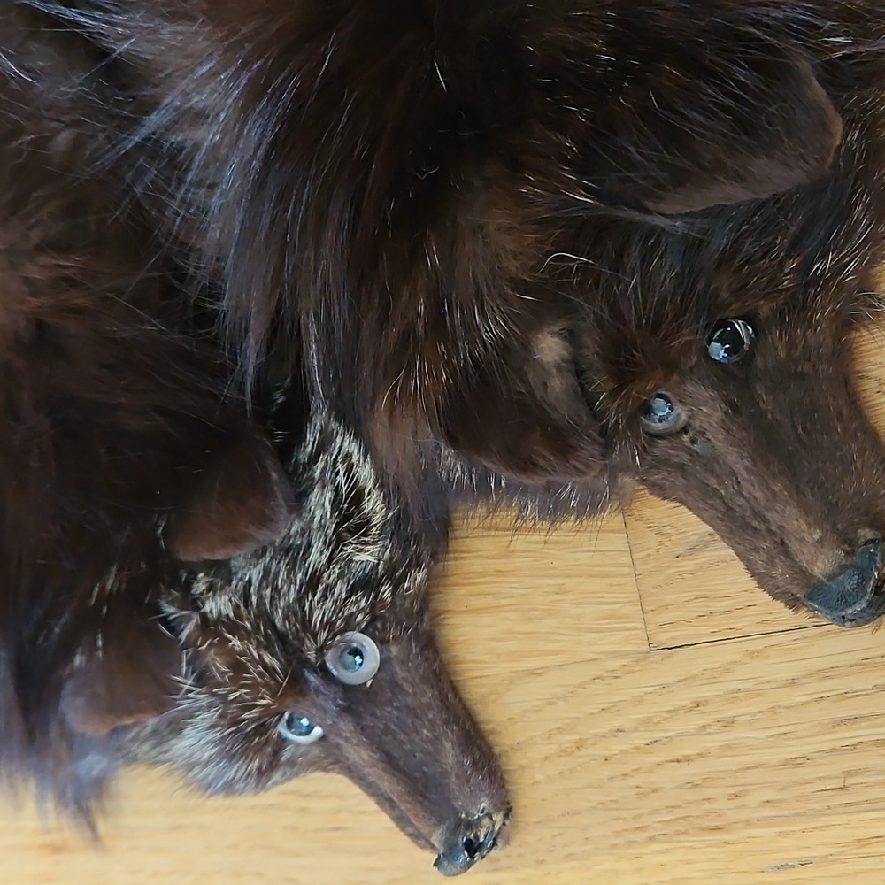 Vintage Fox Fur Stole - Picture 9 of 15